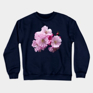 Cherry Blossoms - Closeup of Cherry Blossoms Crewneck Sweatshirt